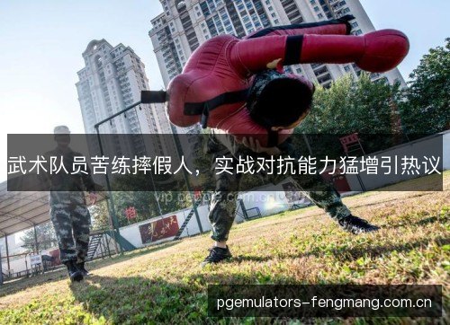 武术队员苦练摔假人，实战对抗能力猛增引热议